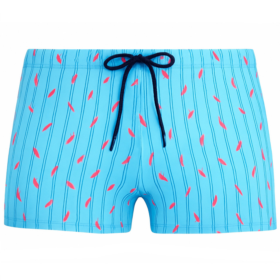 Hom zwemboxer Espelette 